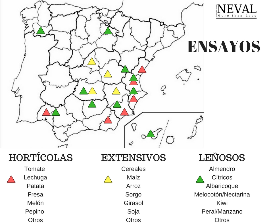 ENSAYOS EFICACIA CAMPO LABORATORIO