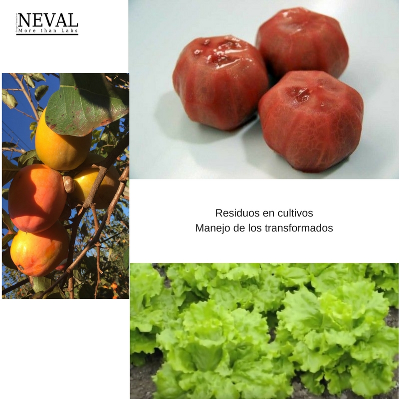 Residuos en cultivos