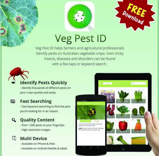 aplicación plagas campo Aplicación plagas campo