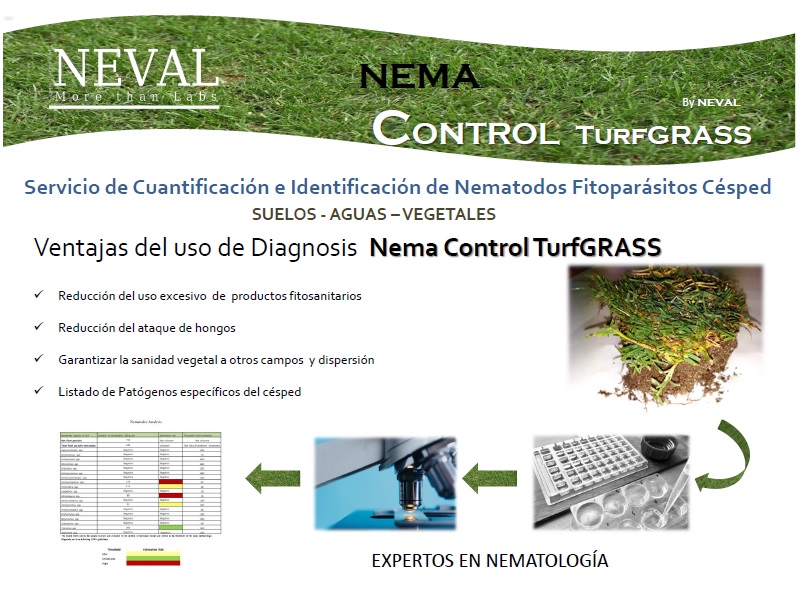 nematodes turf grass analysis