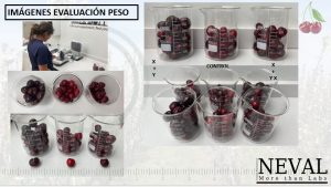 ENSAYOS REGISTRO BIOESTIMULANTES