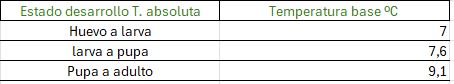 Temperatura tuta absoluta