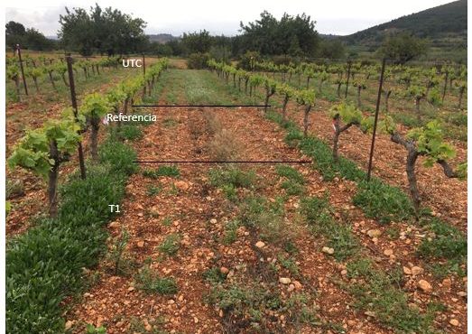 herbicidas de mercado comparación