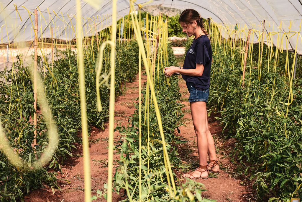NEVAL CRO acreditada EOR 93/17 en ensayos agrícolas y nematología en España
