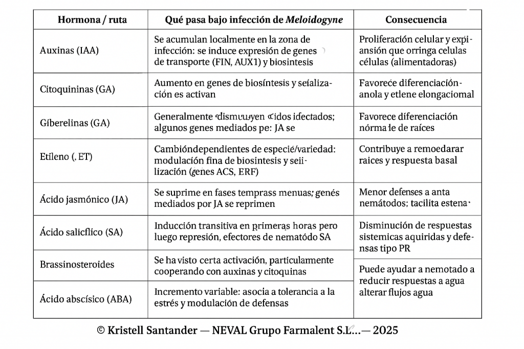 ABA, GA, Meloidogyne hormonas kristell santander