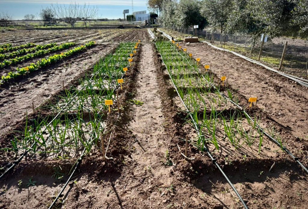 estudios con bioestimulantes investigación y registro europeo francés