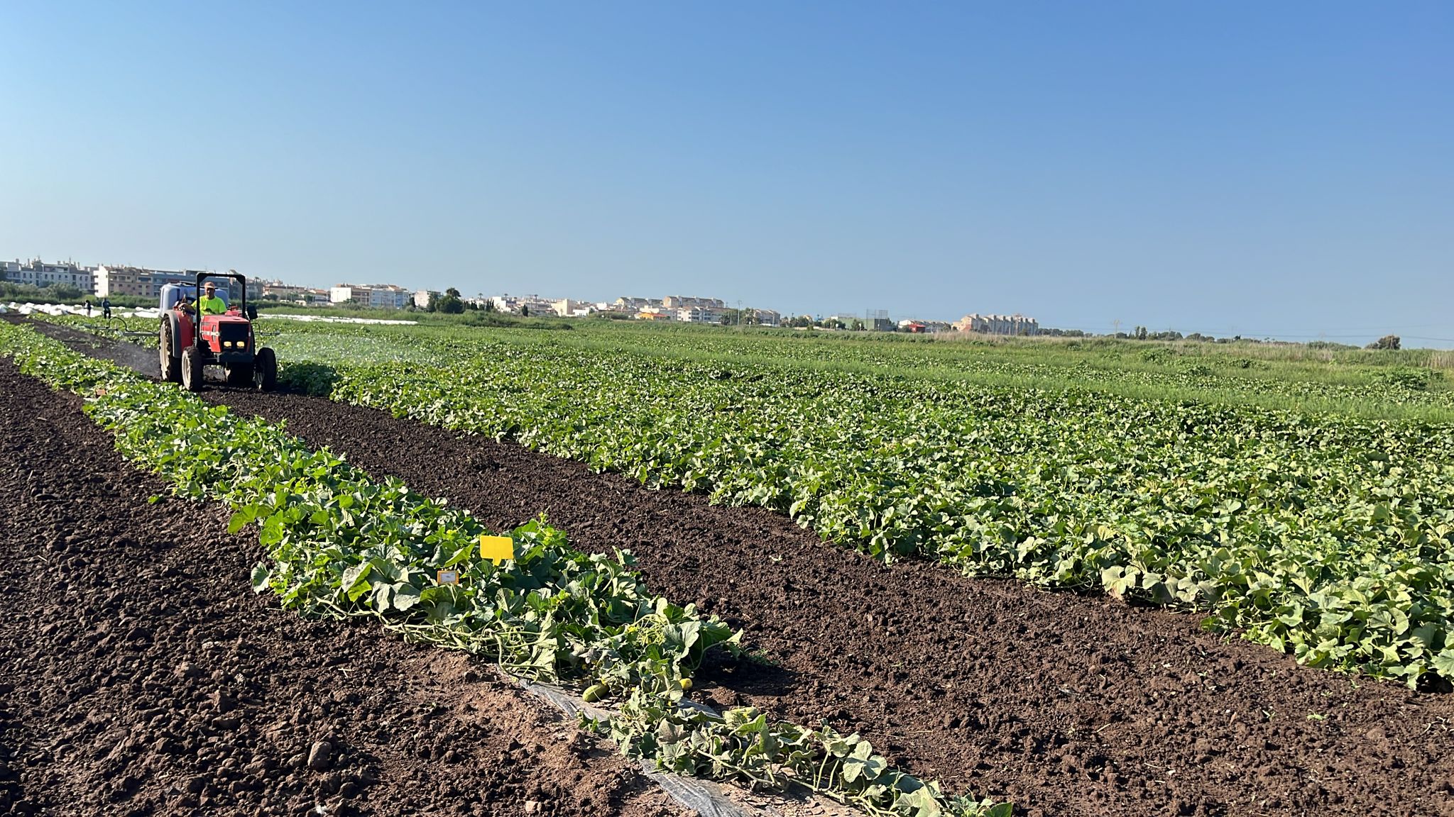 CLAIM EFICIENCIA EN EL USO DE NUTRIENTES