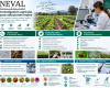 ENSAYOS VALIDACIÓN PRODUCTOS Y LABORATORIO
